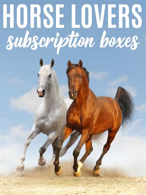 cavalli club photos|subscription boxes for horse lovers.